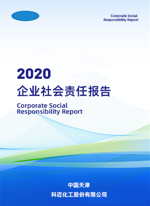 2020 年企业社会责任报告